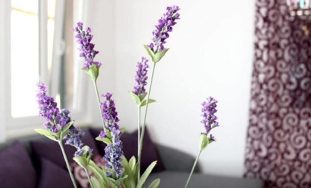 Apartment Lavanda *